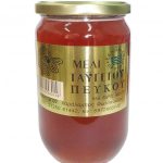 Pine honey from Mani and Taygetus mountain in Peloponnese (Taygetos Honey-Fotopoulos), Jar 460gr